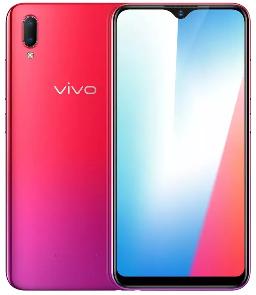 VIVO